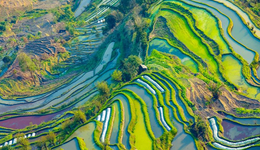 走进颍州区TVC拍摄：解锁本地化场景与创意镜头的完美融合